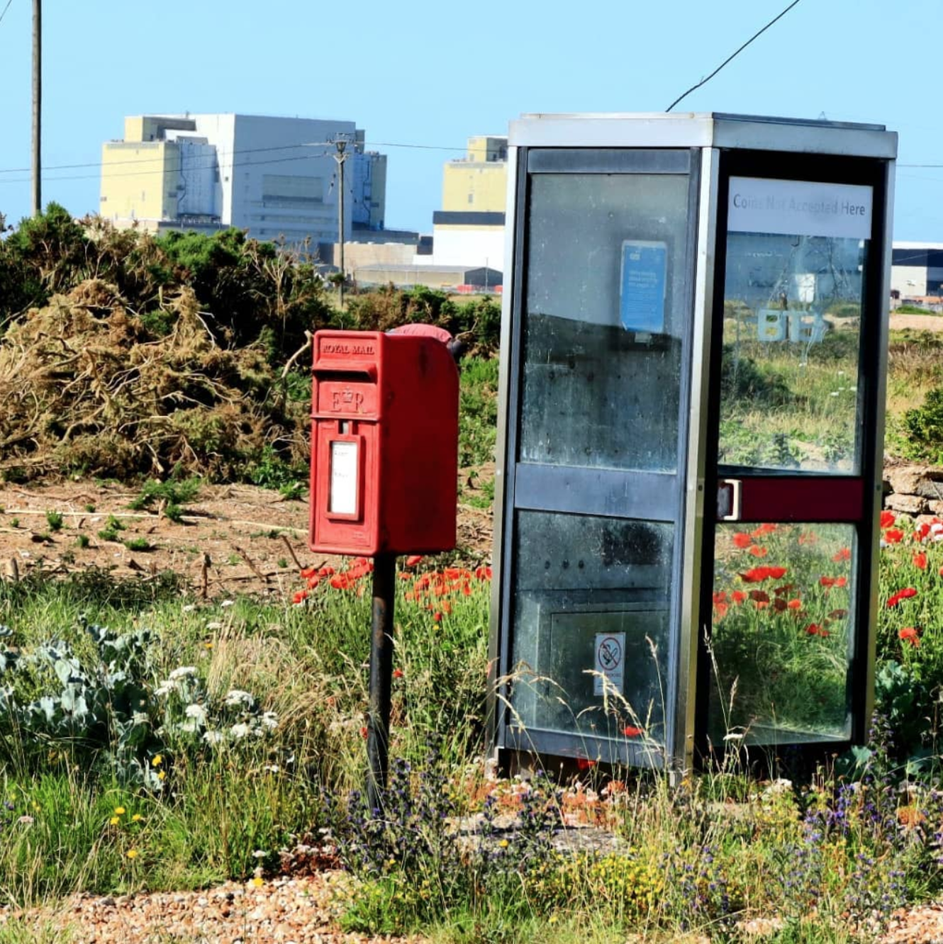 telephone booth and post box in a meadow of flowers