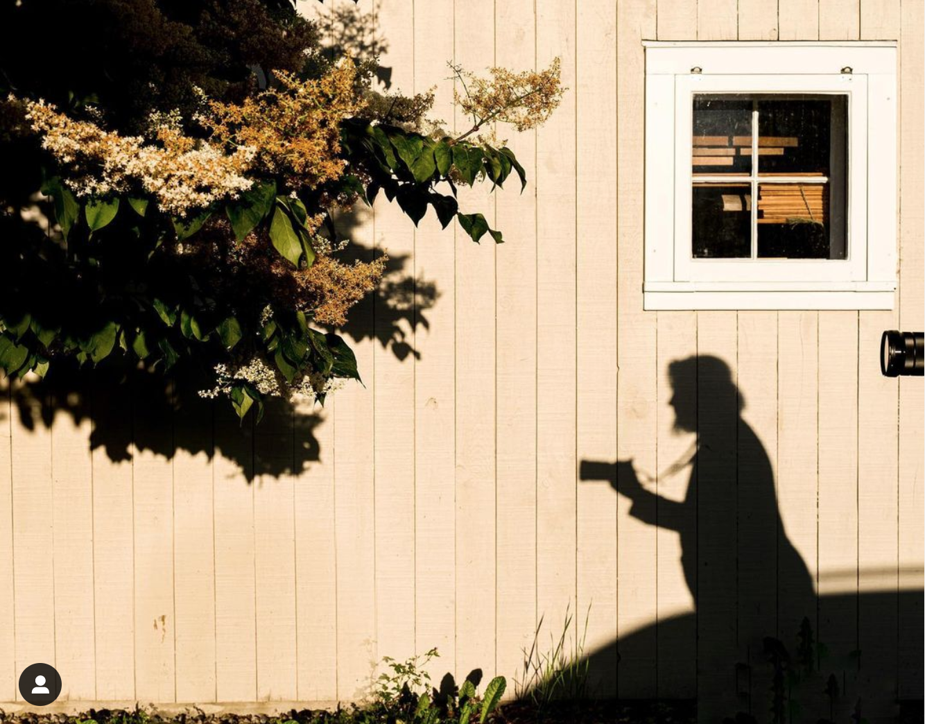 shadow of a woman taking a photograph