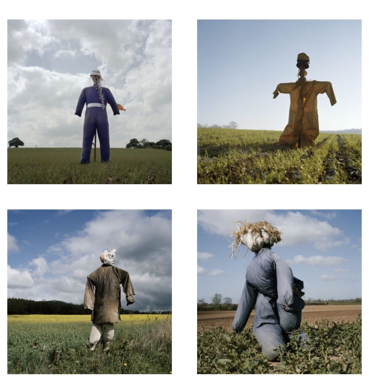 Four images of scarecrows, each looking strangely human.