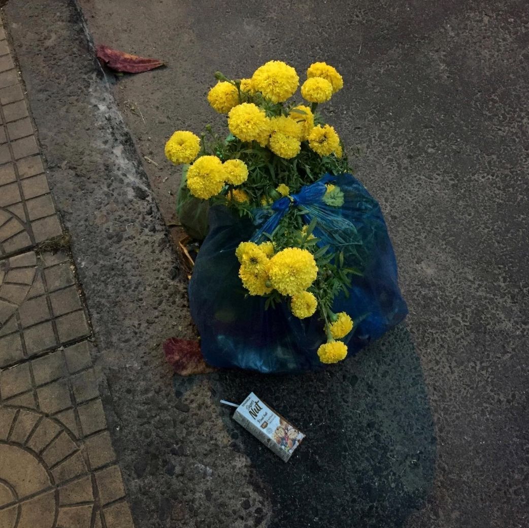 Rubbish - some yellow flowers and a nut milk carton - lying on the street.