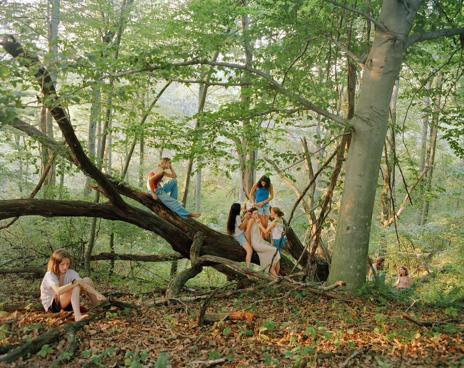 Girls in a forest.