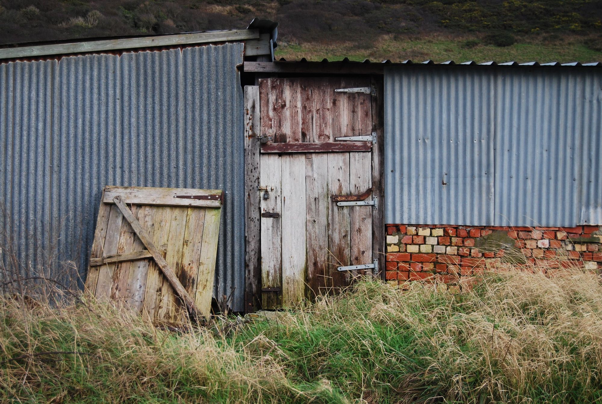 A photo of a tin shed in Wales with overgrown grass in front, and red bricks.