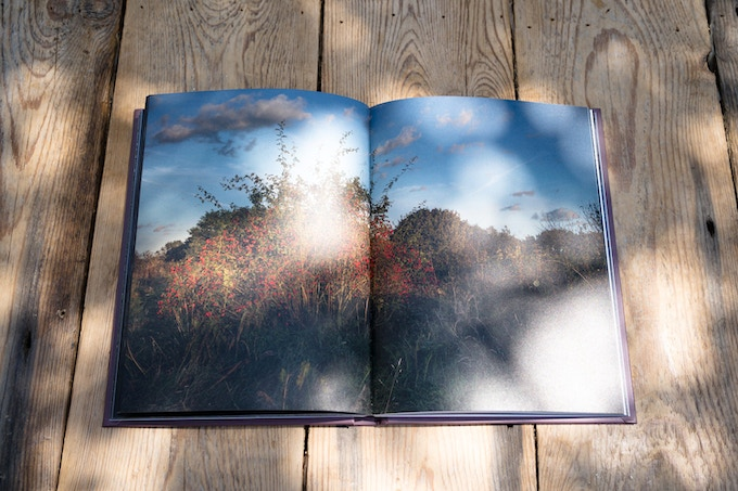 instead spread of a photography book showing a natural landscape