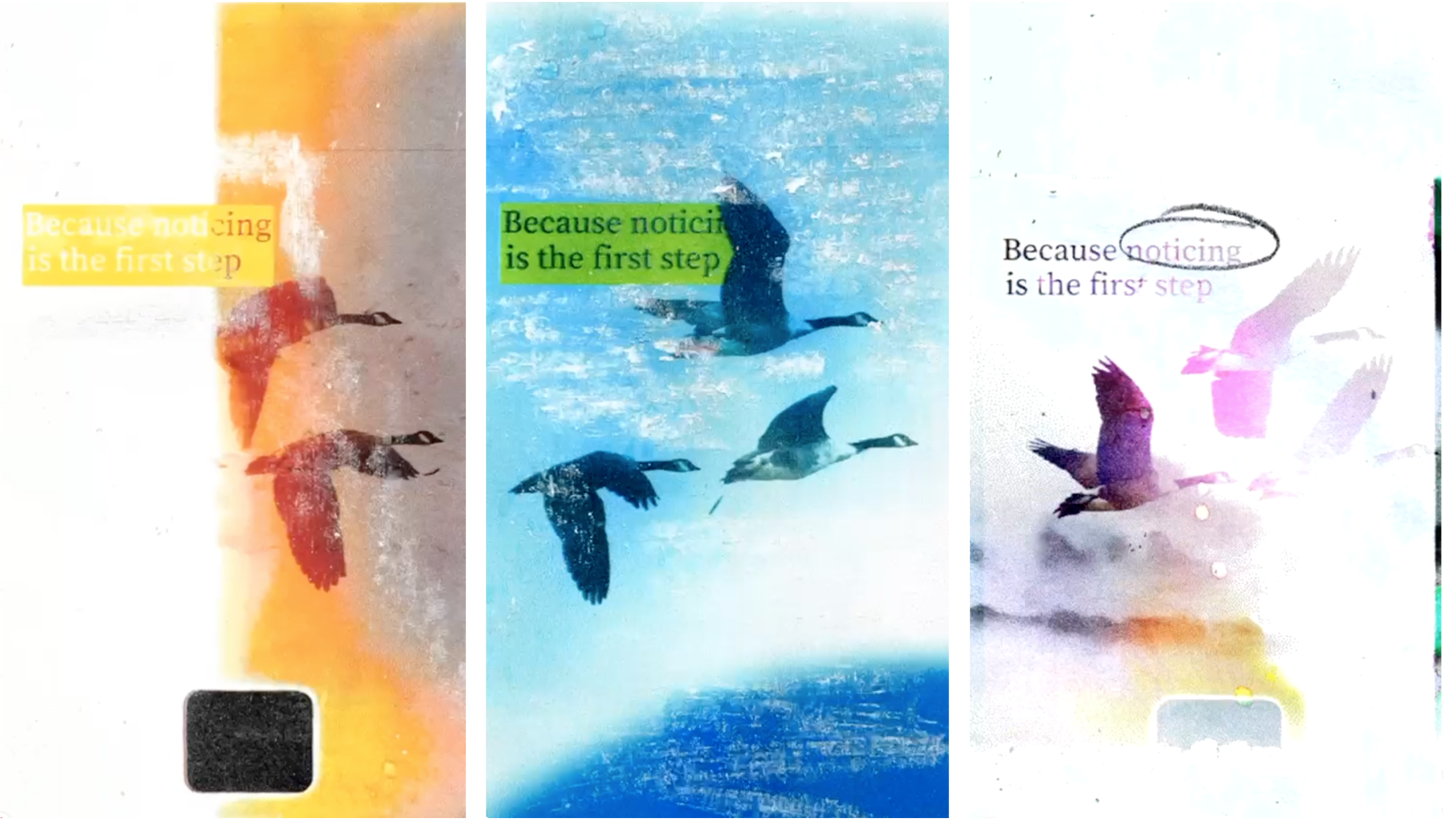 Artwork showing birds in the sky with the words "Because noticing is the first step".