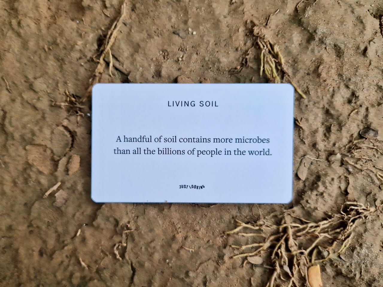 soil with a card on it - text reads: Living Soil - A handful of soil contains more microbes than all the billions of people in the world.