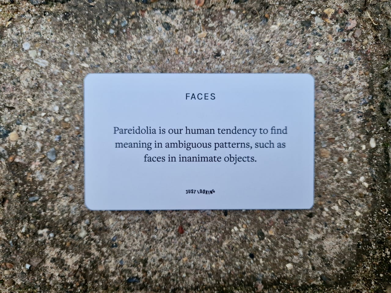 Text reads "Pareidolia is our human tendency to find meaning in ambigious patterns, such as faces in inanimate objects. 