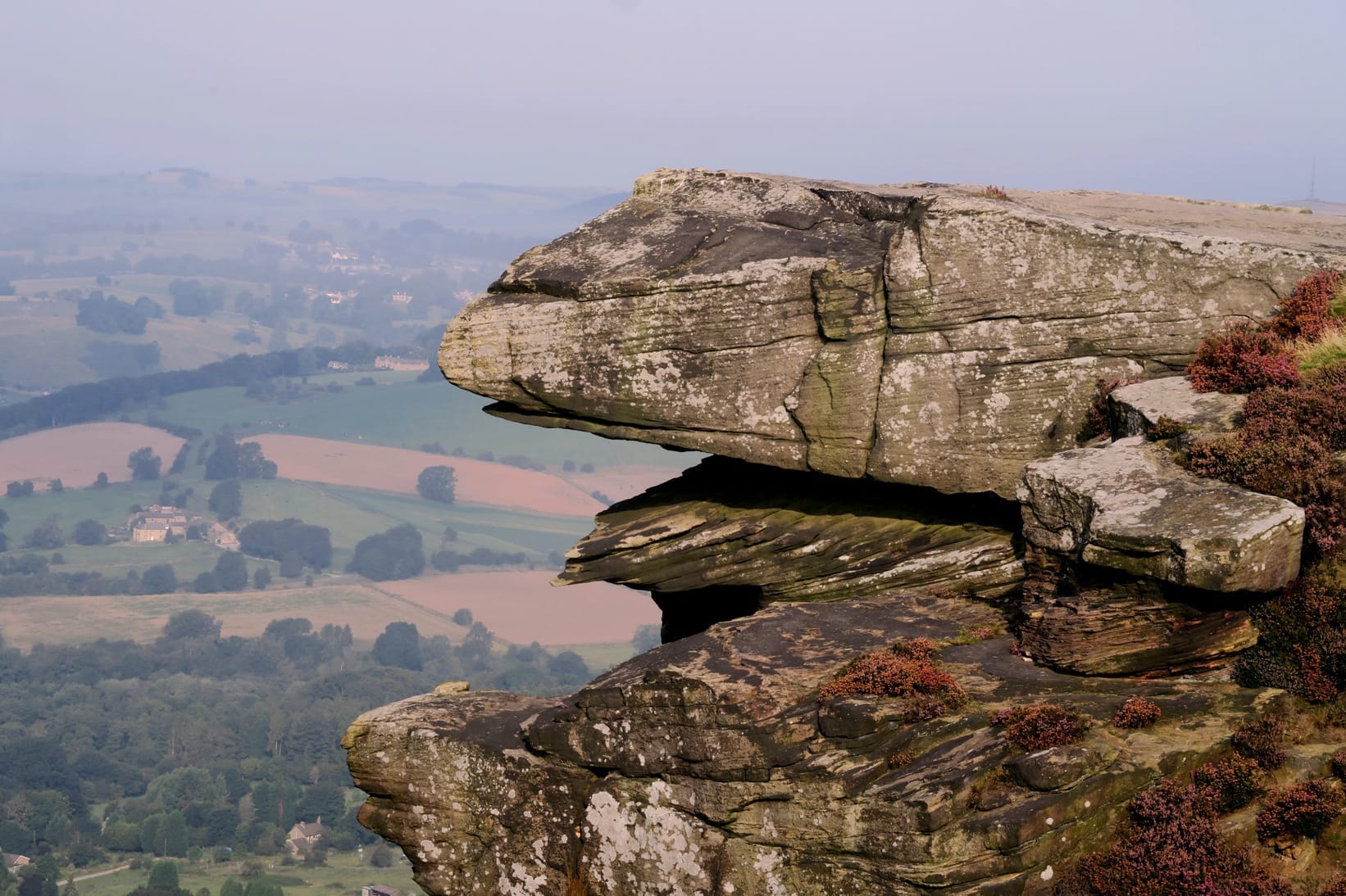 A rock formation that looks like a toad face!