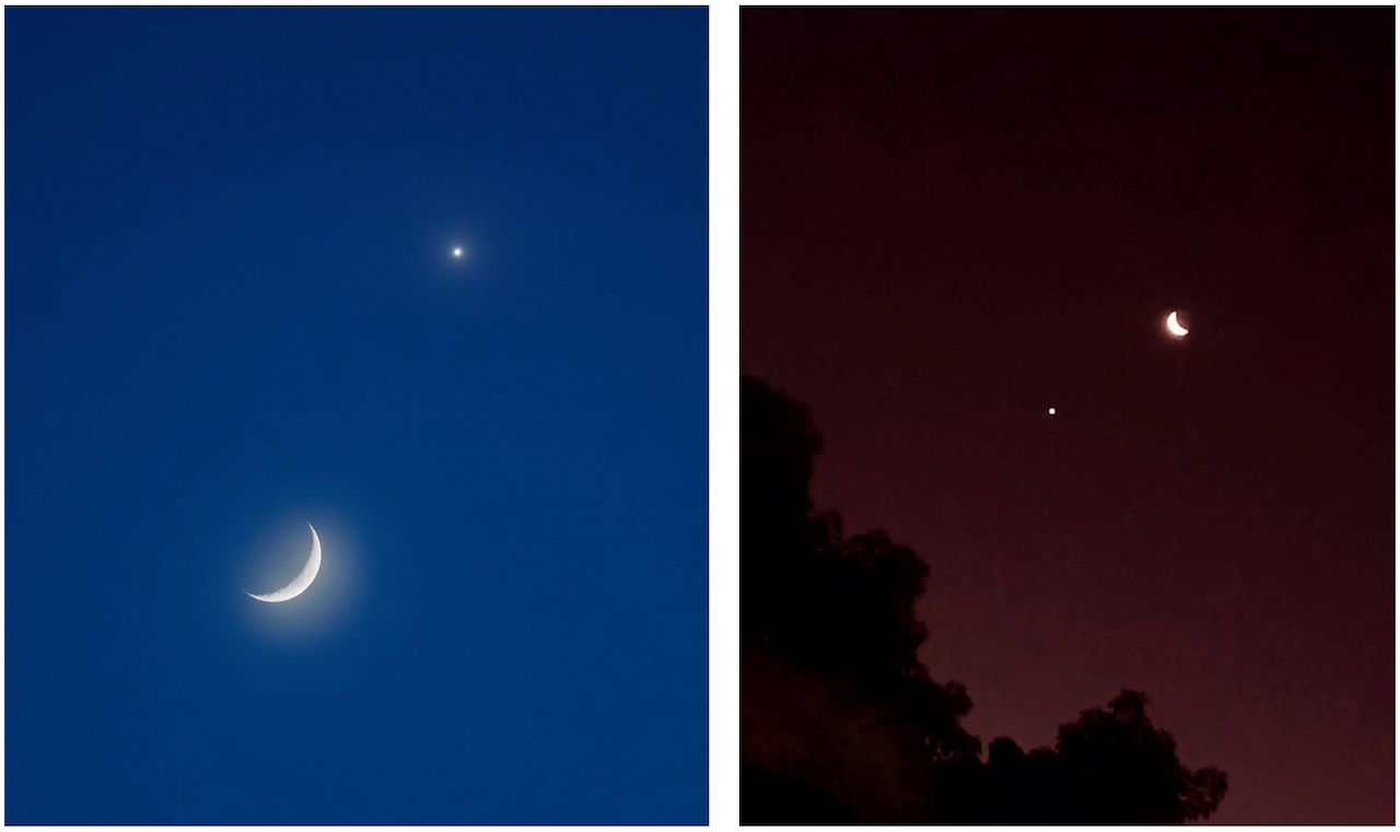 The moon and Venus