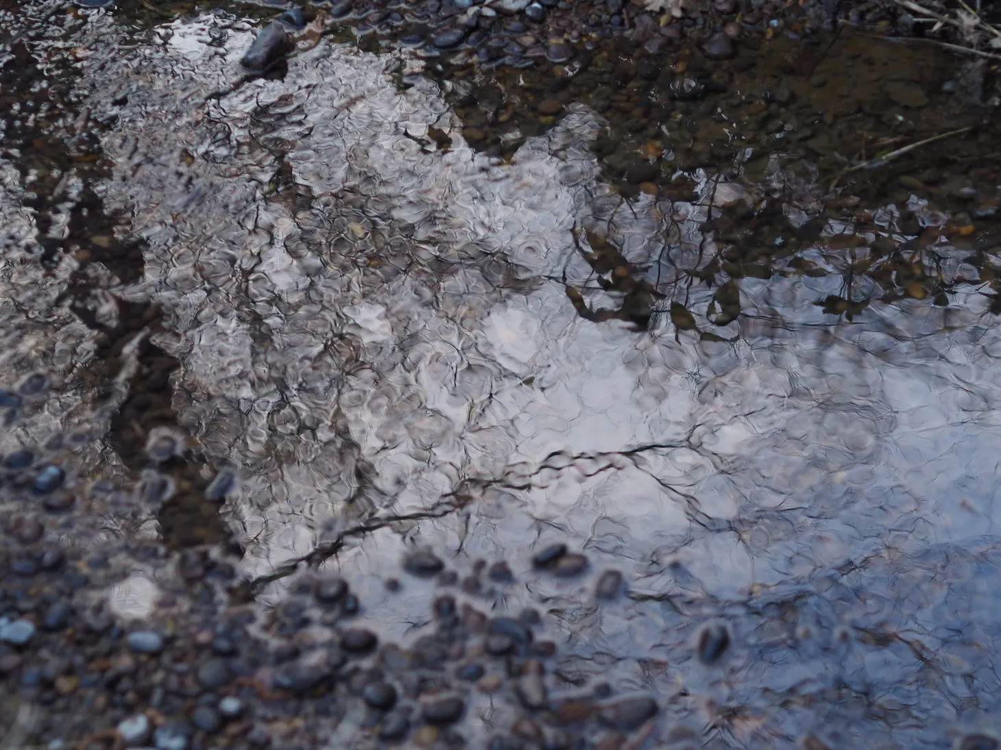 Photo taken by Menka behind her home. Fracturing water that looks like glass.